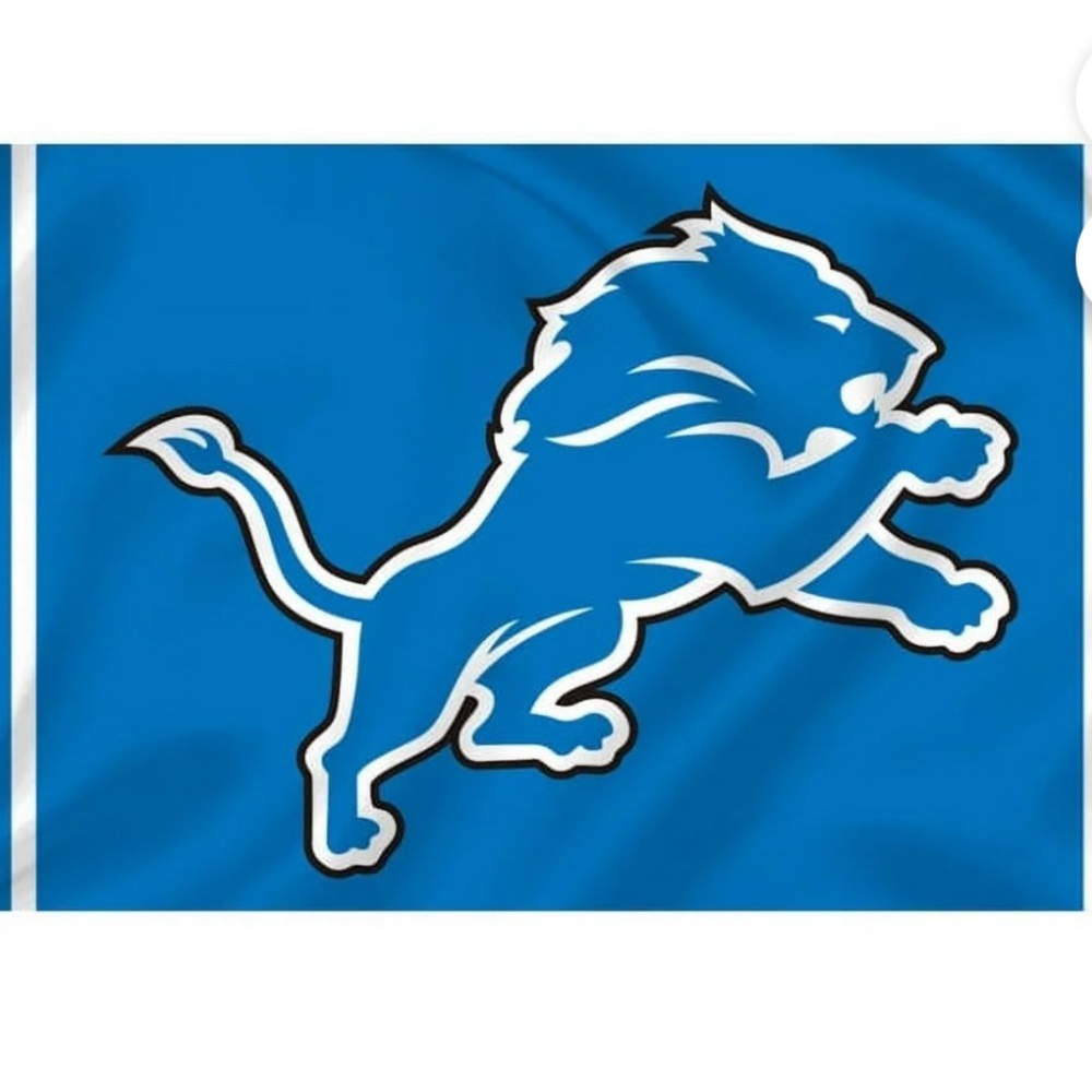 Detroit Lions Football Flag‎ New